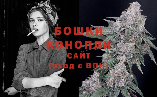 гидра Армянск
