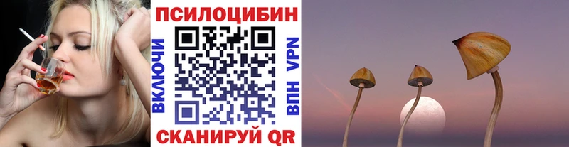Псилоцибиновые грибы Magic Shrooms Мариинск